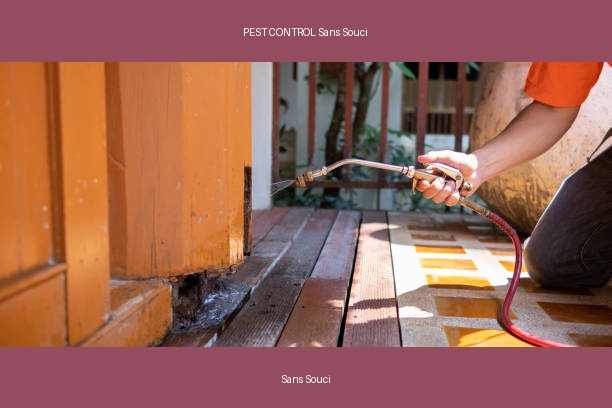 PEST CONTROL Sans Souci